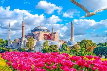 ФЕСТИВАЛ НА ЛАЛЕТО В ИСТАНБУЛ 2026 РАННО ЗАПИСВАНЕ ДО 31.01.2026г.