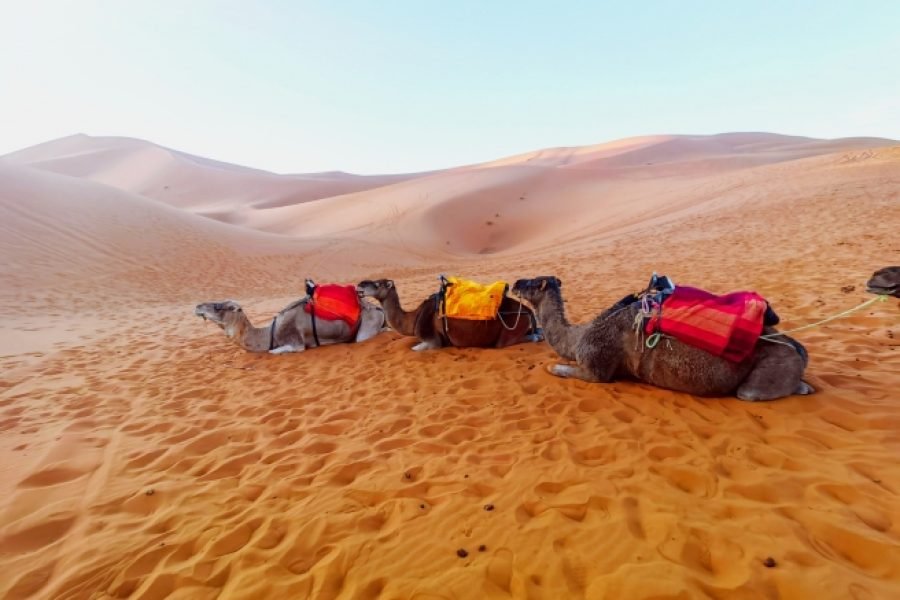 Изживей магията на пустинята в Мароко